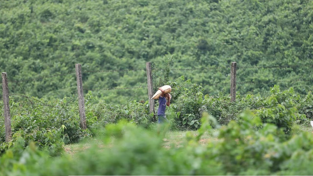 সীমান্তে নিশ্ছিদ্র প্রহরার ছক: নজরদারিতে ২৭ জেলা ও ৭৮৭ ‘লাইনম্যান’