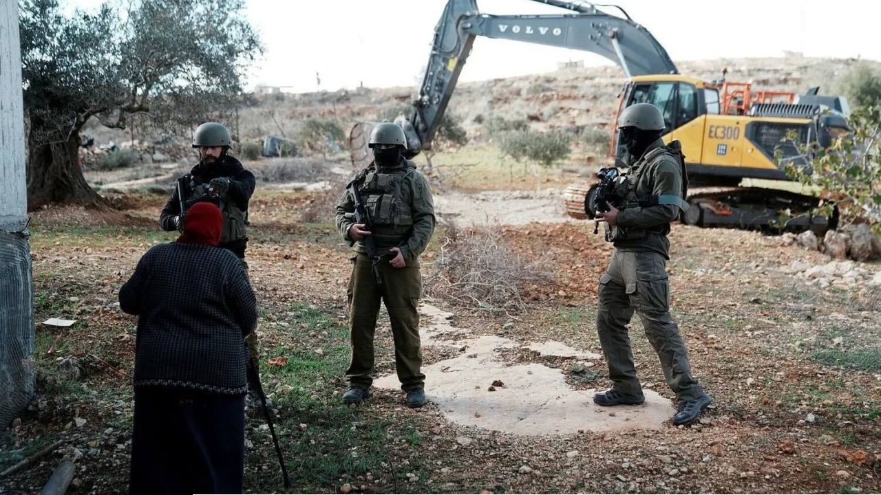 পশ্চিম তীরে ফিলিস্তিনিদের জমি দখল ও জলপাই বাগান ধ্বংস করল ইসরায়েলিরা