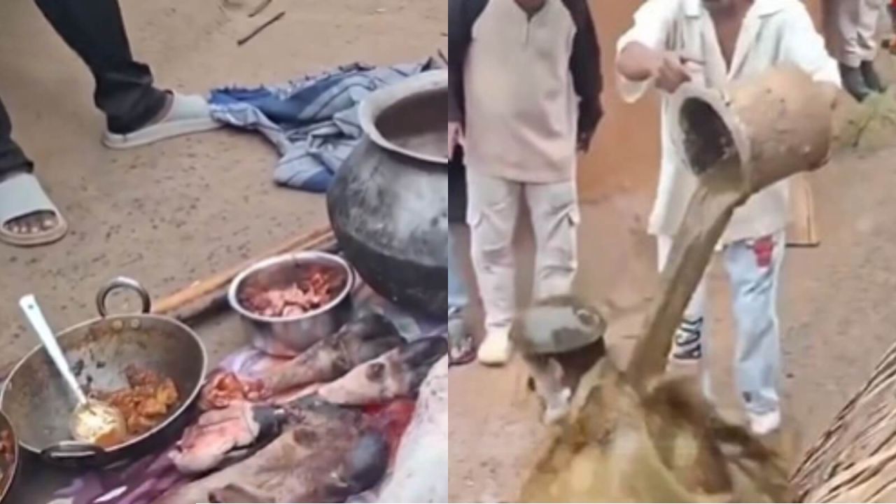 গরুর গোশত রান্নায় যুবককে জুতোর মালা ও গোবর ঢেলে চরম লাঞ্ছনা: নীরব দর্শকের ভূমিকায় পুলিশ