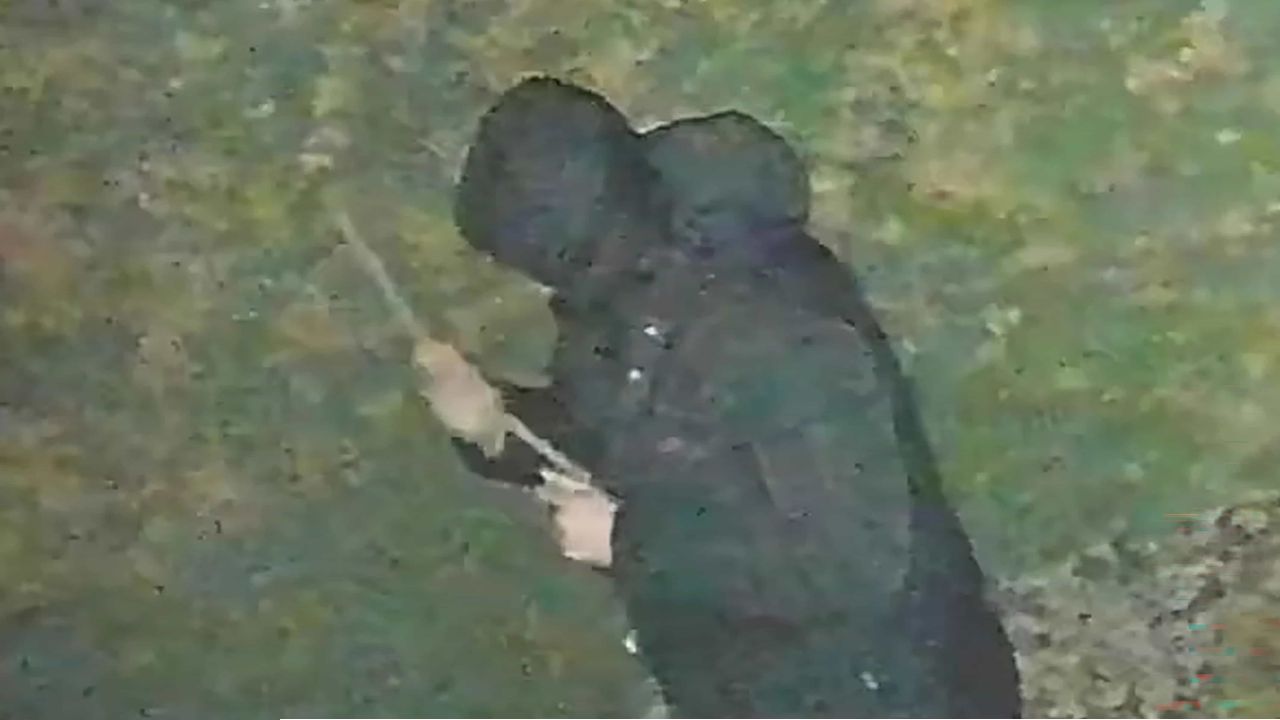 যুক্তরাজ্যে মুসলিম বিদ্বেষী হামলার জঘন্য নজির: শিখ নারীকে ‘মুসলিম মনে করে’ ধর্ষণ, হামলাকারীর যাবজ্জীবন